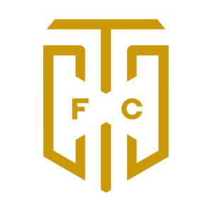 Cape Town City Logo